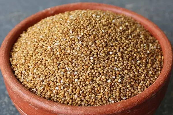 Barynard Millet