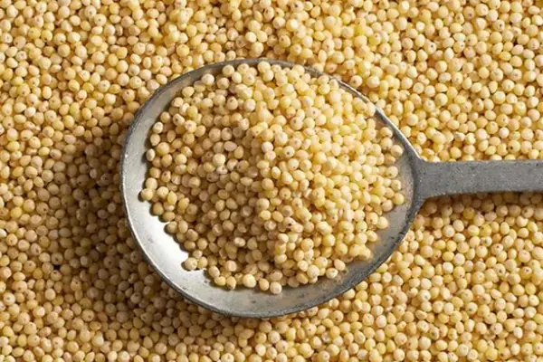Koda Millet