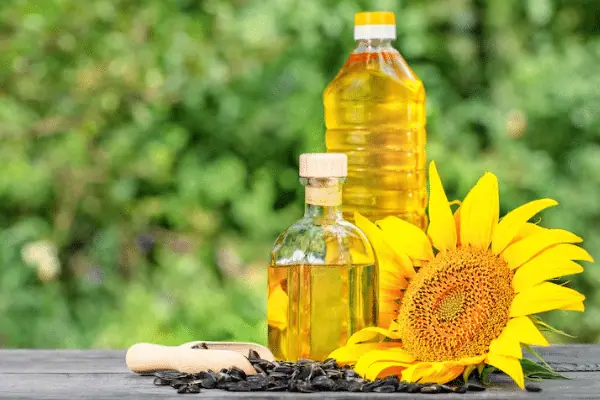 Sunflower Oil