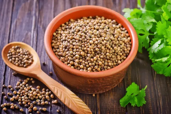 Corindair Seeds 