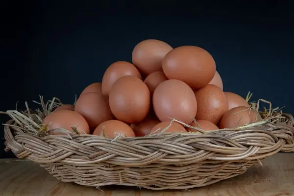 Country Hen Egg