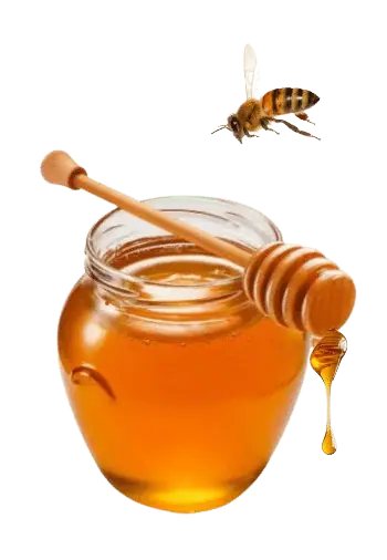 honey with honey bee